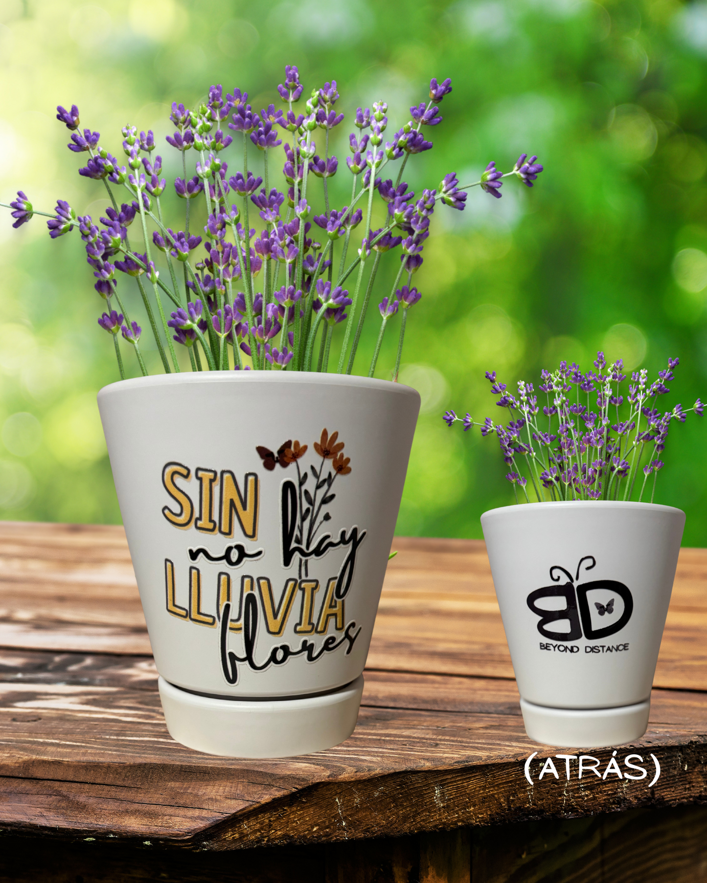 TIESTO SIN LLUVIA NO HAY FLORES