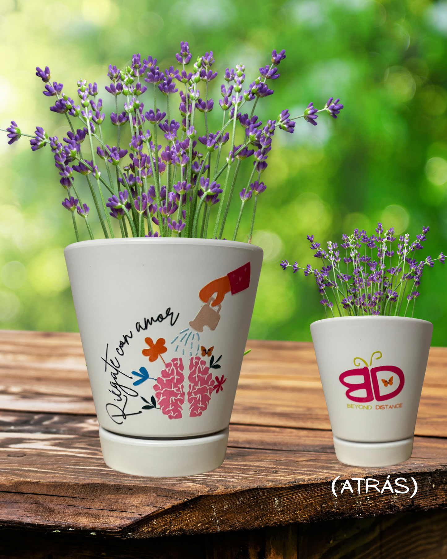 TIESTO RIÉGATE CON AMOR