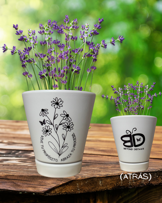 TIESTO VIVE TU PROPÓSITO. ABRAZA TU PROCESO.