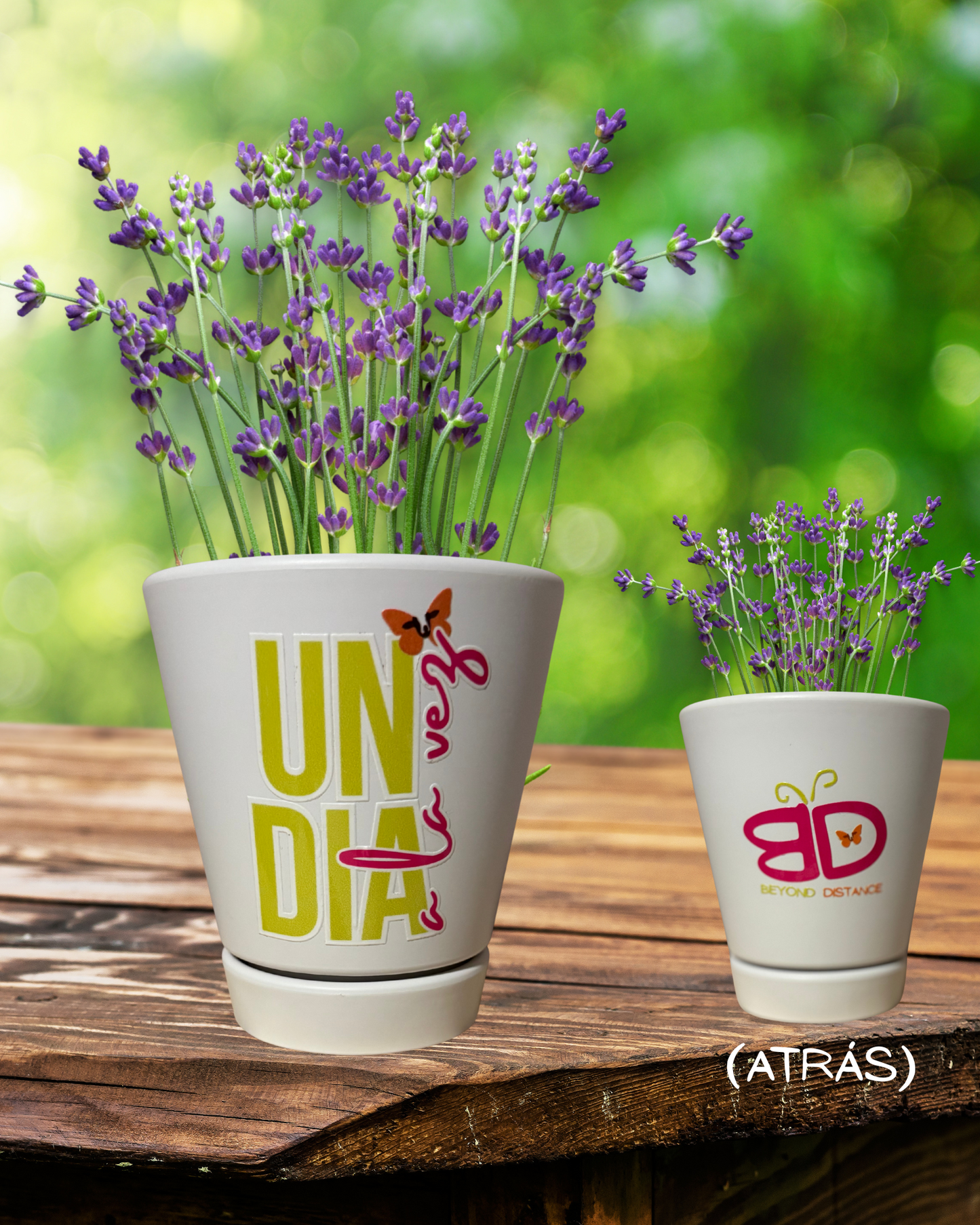 TIESTO UN DÍA A LA VEZ